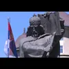 cardusansilnisrbija