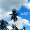 kasihnanila