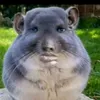 woshniei