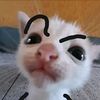 the_sassyaunt
