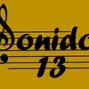 elsonido13