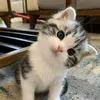 lilybradley_07