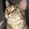 ruby.ruby10