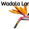 wadalalandscapes