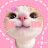 athw_cute02