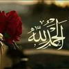 asifsiddique559