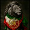 roo.darya