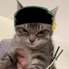 takupopper