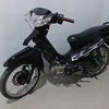 vega_pelan10_