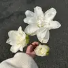 2iijy_