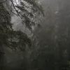 dari_xx12