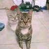 anak.baik_969
