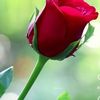 shyam.tiwari23