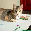 nina_emput