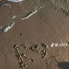 rosa642699