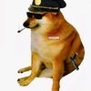 police_tik_tok52
