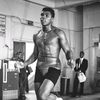 abdiboxer