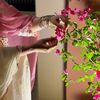 iqra33100