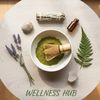wellnesshub1byamy