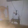 unramdomxd242