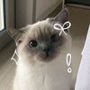 rieskiy_24