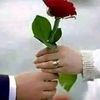 wel.com.ibrahim