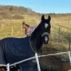 herzenspferd.salino