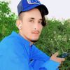 jaweedkhan85455