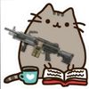 nery_pusheen