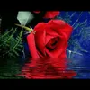 muthna.muthna1