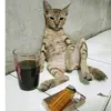 keonksumatra