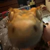 ilovegeckosalot