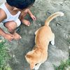 bungsupride0