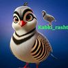 kavgi1