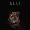 gulli._.07