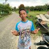 ibel_50