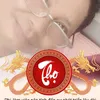trnhngphi7