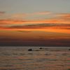 likesenja00