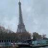 yazzb_17