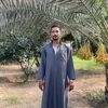 alyelseady506