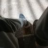ismael_acosta011