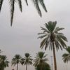 zb7wgs