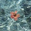 zainah_125