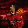 joro_3dits