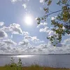 user_41726