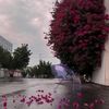 irhaabbassi93