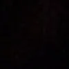 .lilybackuppxx4