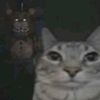 cattki