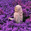 liliyusfida