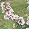 mirka_olga26